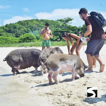 Ausflüge - Ausflug verborgene Inseln traumhafte Bootstour - kohsamuiausflug.de